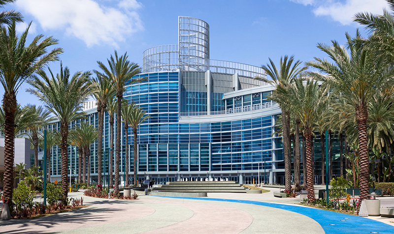 A large, modern building with a curved glass facade and a tall tower, surrounded by palm trees and a paved walkway.